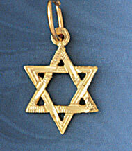 Star of David Pendant Necklace Charm Bracelet in Yellow, White or Rose Gold 9157