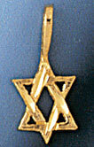 Star of David Pendant Necklace Charm Bracelet in Yellow, White or Rose Gold 9168