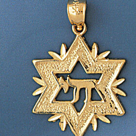 Star of David with Chai Pendant Necklace Charm Bracelet in Yellow, White or Rose Gold 9176
