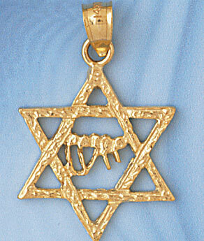 Star of David with Chai Pendant Necklace Charm Bracelet in Yellow, White or Rose Gold 9179