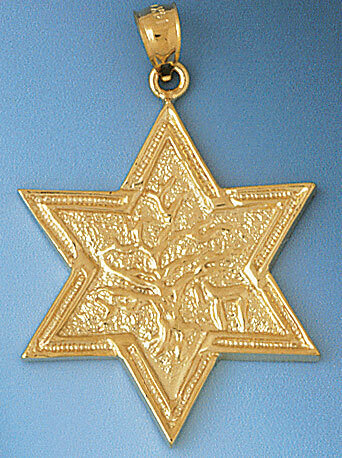 Star of David with Chai Pendant Necklace Charm Bracelet in Yellow, White or Rose Gold 9187