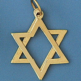 Star of David 2 PC Moveable Pendant Necklace Charm Bracelet in Yellow, White or Rose Gold 9208