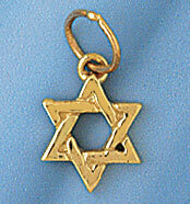 Star of David Pendant Necklace Charm Bracelet in Yellow, White or Rose Gold 9212