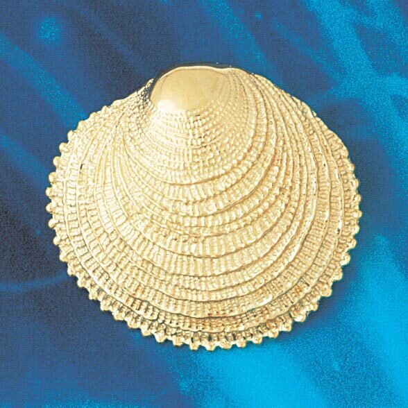 Seashell Slide Pendant Necklace Charm Bracelet in Yellow, White or Rose Gold 67