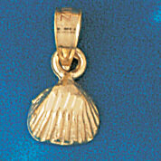 Dazzlers Jewelry Seashell Shell Pendant Necklace Charm Bracelet in Yellow, White or Rose Gold 204, …