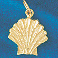 Seashell Shell Pendant Necklace Charm Bracelet in Yellow, White or Rose Gold 234