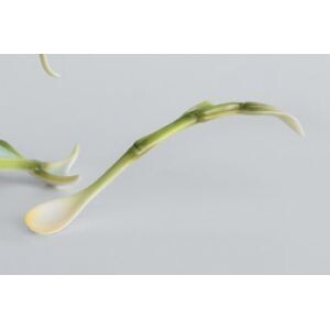 Franz Porcelain Bamboo Song Bird Spoon FZ00638, MPN: FZ00638,