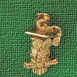 Dazzlers Jewelry Owl Pendant Necklace Charm Bracelet in Yellow, White or Rose Gold 3081, MPN: DZ-30…