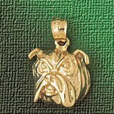 Dazzlers Jewelry Bulldog Dog Pendant Necklace Charm Bracelet in Yellow, White or Rose Gold 2189, MP…