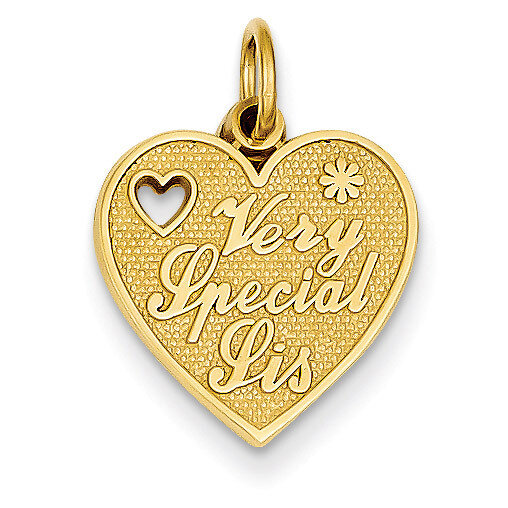 Very Special Sister Charm 14k Gold C1692