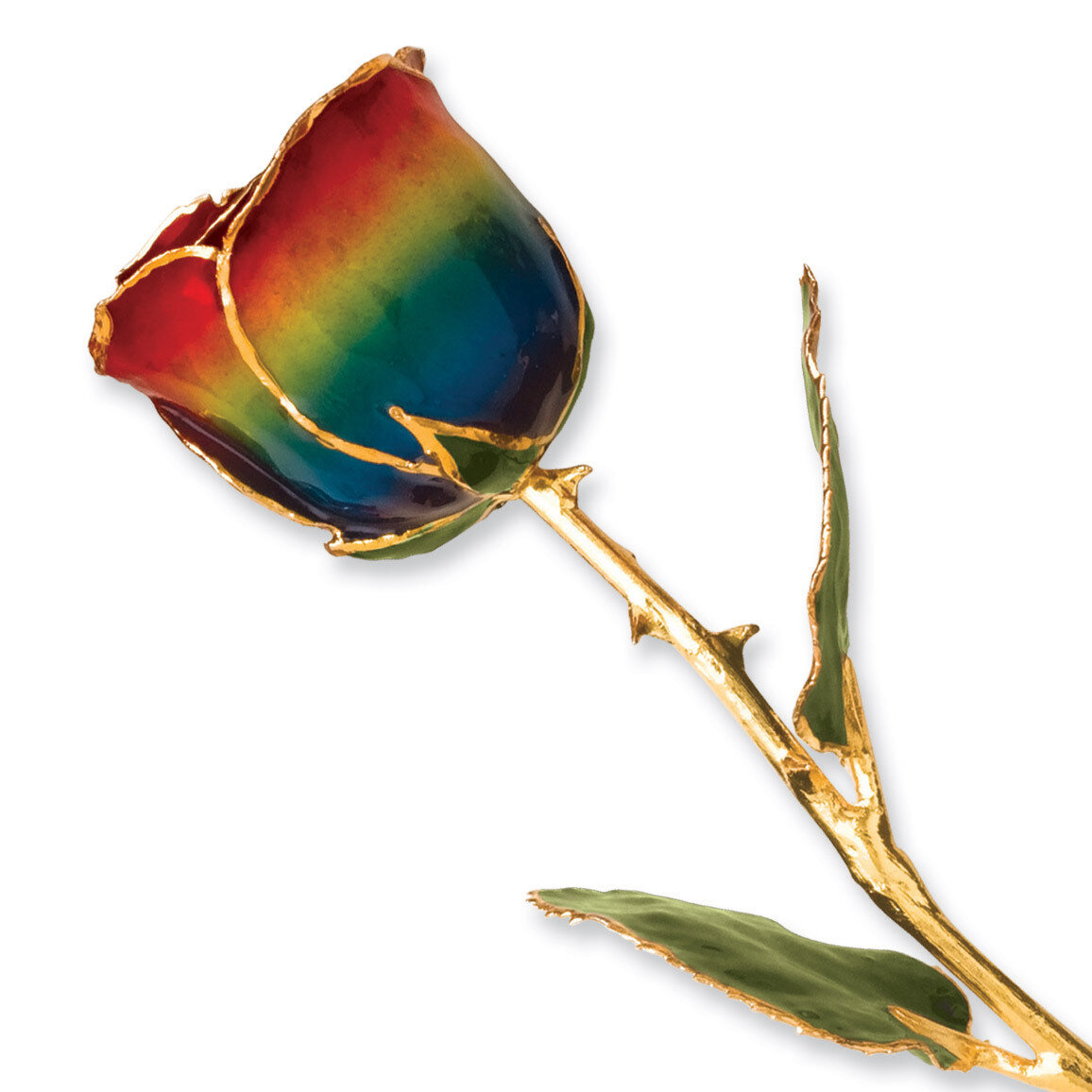 Rainbow Rose Lacquer Dipped Gold Trimmed GP9351
