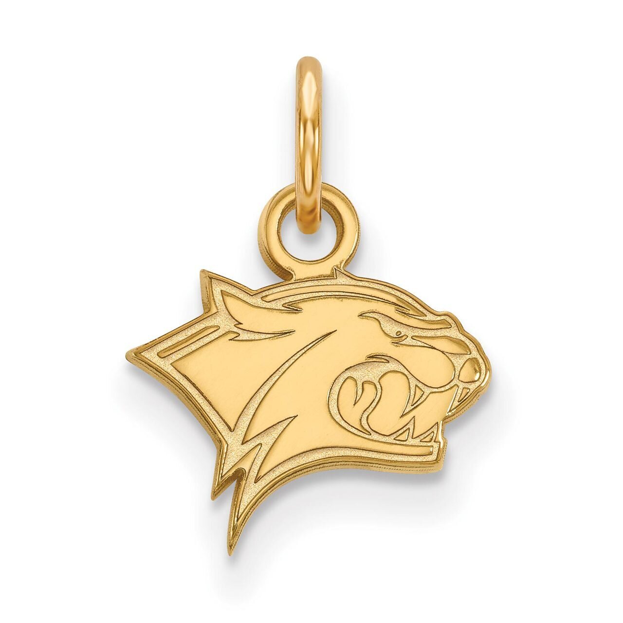 University of New Hampshire x-Small Pendant Gold-plated Silver GP007UNH