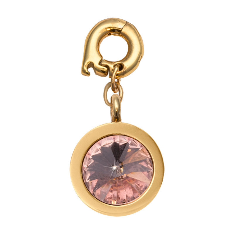 Nikki Lissoni June Charm with An Alexandrite Swarovski Stone Gold-Plated 15mm D1169GS