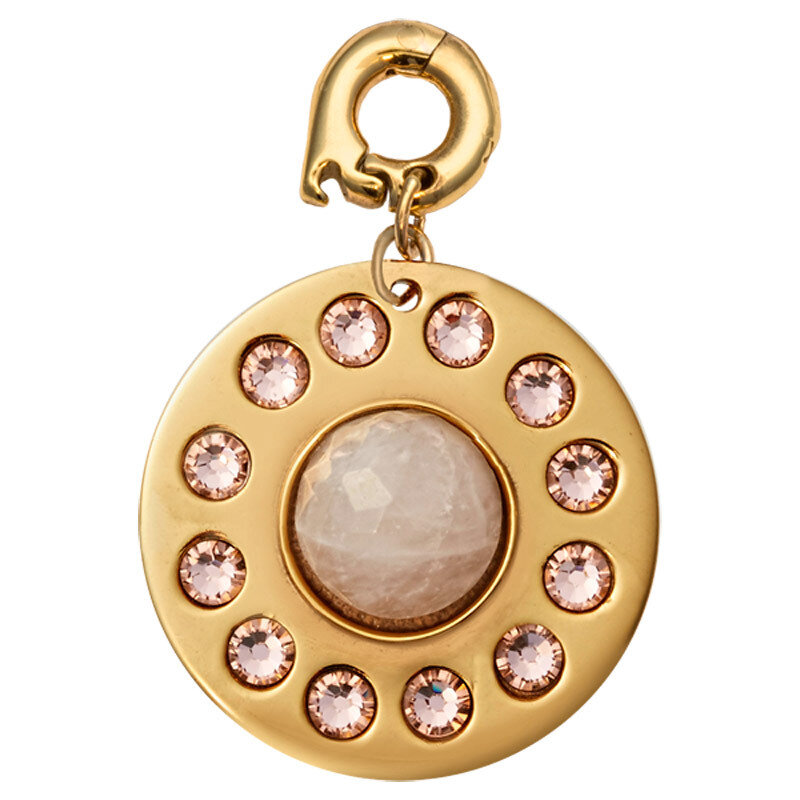 Nikki Lissoni Id Like To Give You Harmony & Positivity Charm Gold-Plated 25mm D1204GL