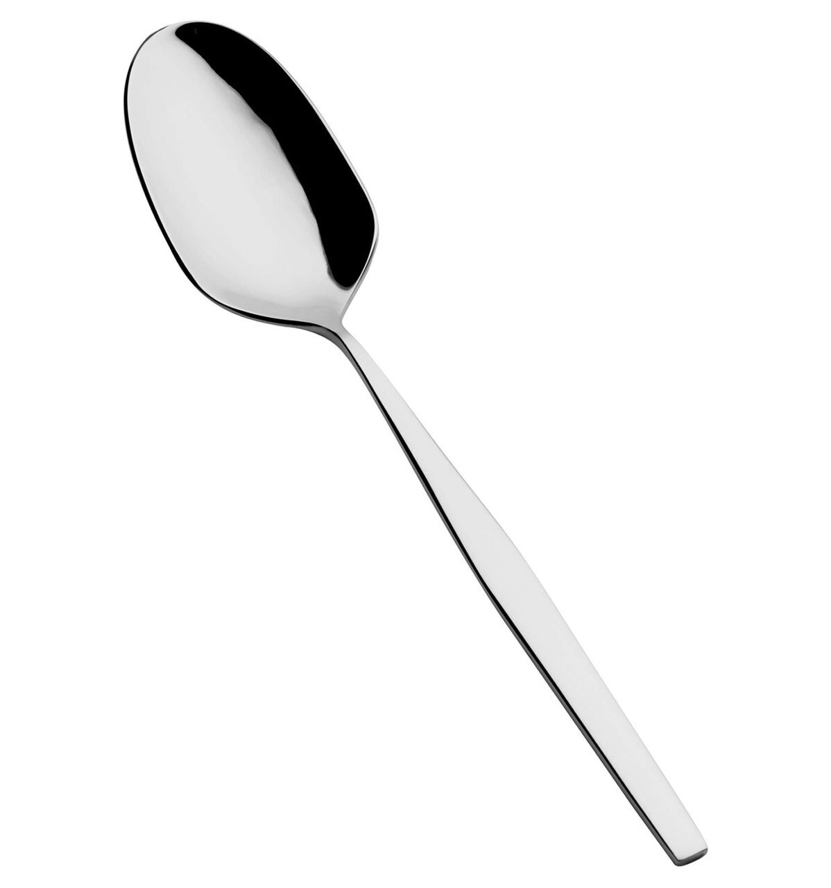 Vista Alegre Spa Serving Spoon
