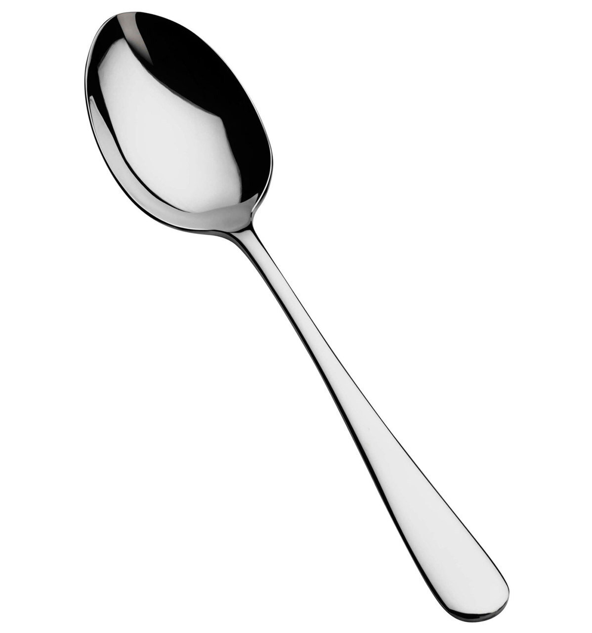 Vista Alegre Vega Serving Spoon