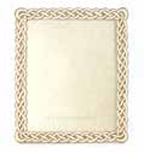 Jay Strongwater Liam Golden Braided 8 x 10 Inch Picture Frame