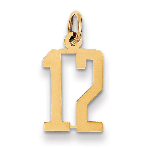 Number 12 Charm 14k Gold Small Polished Elongated LES12