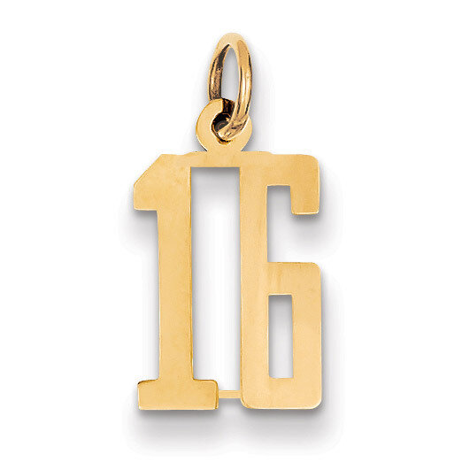Number 16 Charm 14k Gold Small Polished Elongated LES16