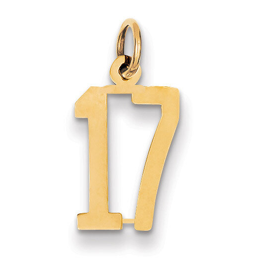 Number 17 Charm 14k Gold Small Polished Elongated LES17