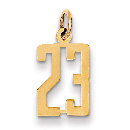 Number 23 Charm 14k Gold Small Polished Elongated LES23, MPN: LES23, 883957132556