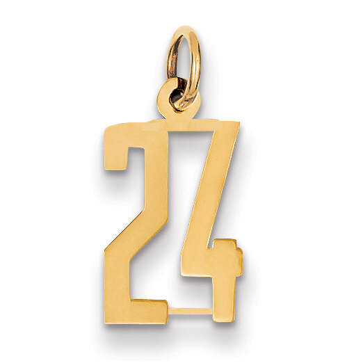 Number 24 Charm 14k Gold Small Polished Elongated LES24