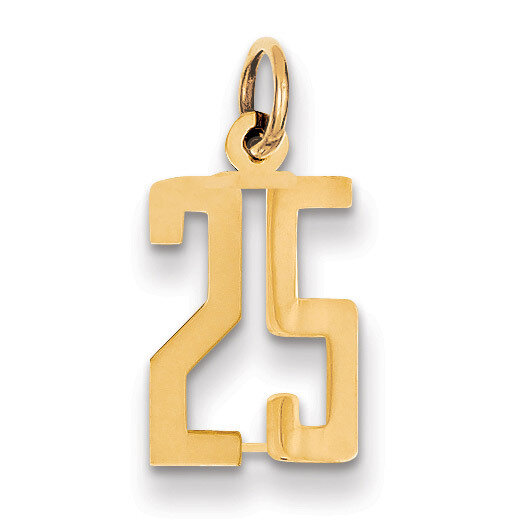 Number 25 Charm 14k Gold Small Polished Elongated LES25