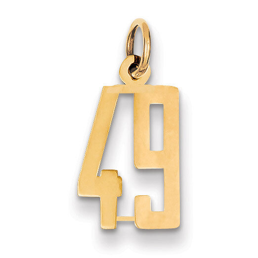 Number 49 Charm 14k Gold Small Polished Elongated LES49, MPN: LES49, 883957132648