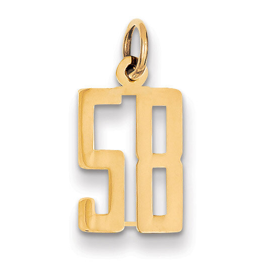 Number 58 Charm 14k Gold Small Polished Elongated LES58, MPN: LES58, 883957132709