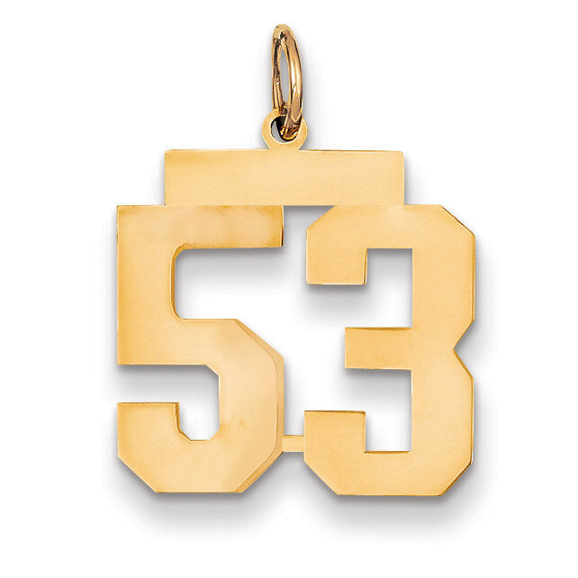 Number 53 Charm 14k Gold Medium Polished LM53, MPN: LM53, 883957219400