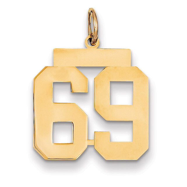 Number 69 Charm 14k Gold Medium Polished LM69, MPN: LM69, 883957135854