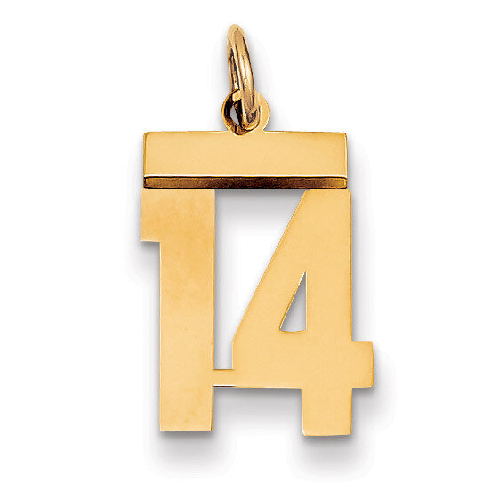 Number 14 Charm 14k Gold Small Polished LS14