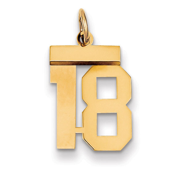 Number 18 Charm 14k Gold Small Polished LS18