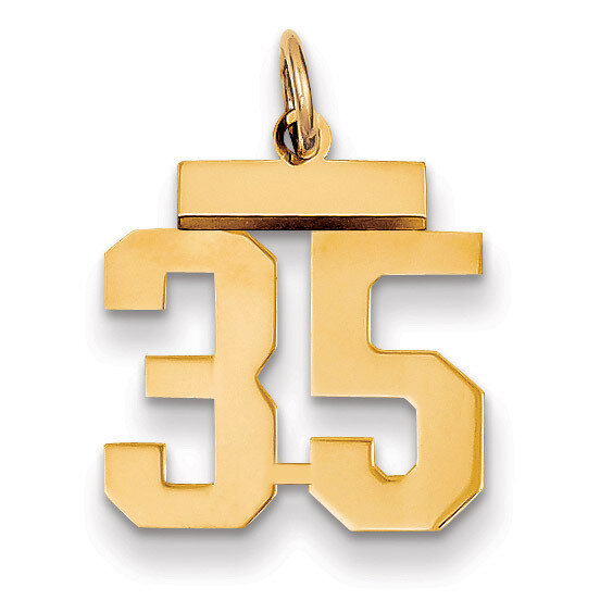Number 35 Charm 14k Gold Small Polished LS35, MPN: LS35, 883957033549