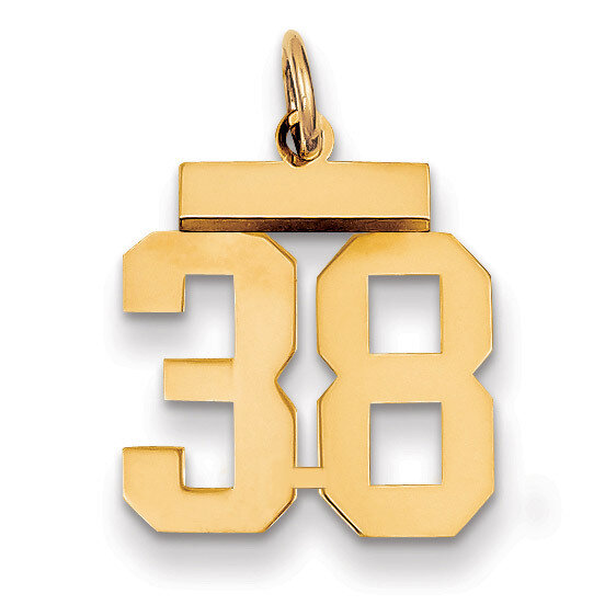 Number 38 Charm 14k Gold Small Polished LS38, MPN: LS38, 883957033570