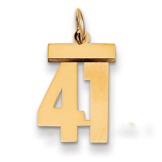 Number 41 Charm 14k Gold Small Polished LS41, MPN: LS41, 883957033600