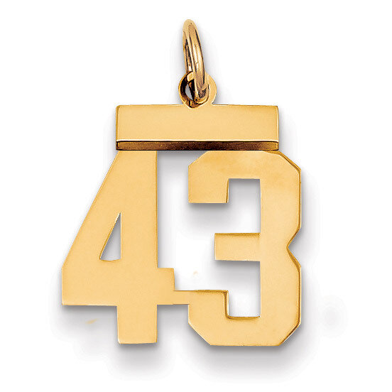 Number 43 Charm 14k Gold Small Polished LS43