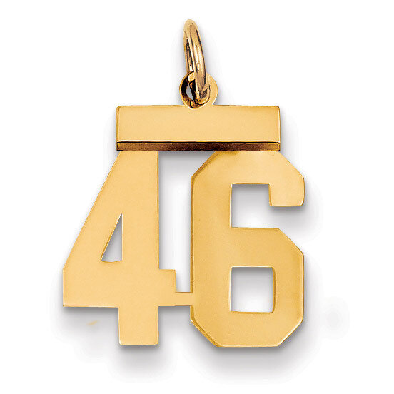 Number 46 Charm 14k Gold Small Polished LS46, MPN: LS46, 883957033655