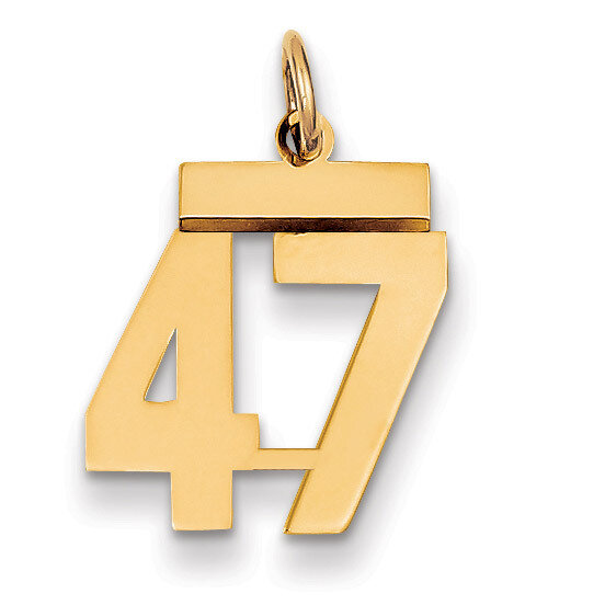 Number 47 Charm 14k Gold Small Polished LS47