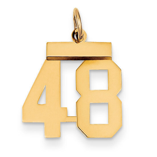 Number 48 Charm 14k Gold Small Polished LS48