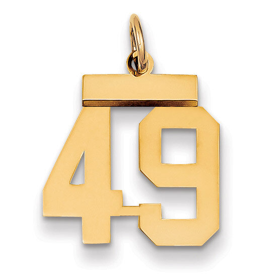 Number 49 Charm 14k Gold Small Polished LS49