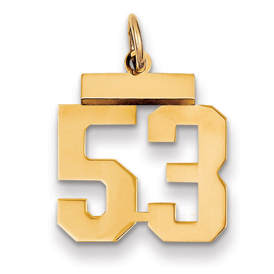 Number 53 Charm 14k Gold Small Polished LS53, MPN: LS53, 883957033723