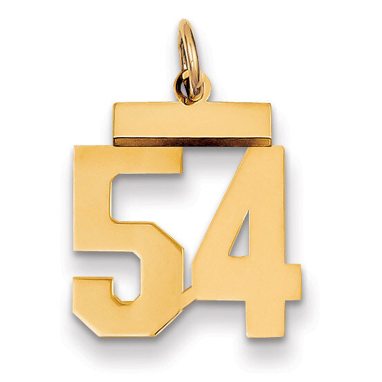 Number 54 Charm 14k Gold Small Polished LS54