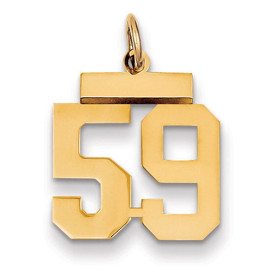 Number 59 Charm 14k Gold Small Polished LS59, MPN: LS59, 883957033822