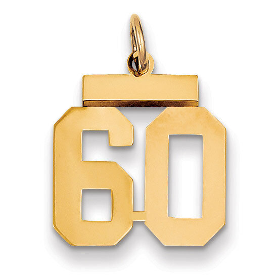 Number 60 Charm 14k Gold Small Polished LS60, MPN: LS60, 883957033839
