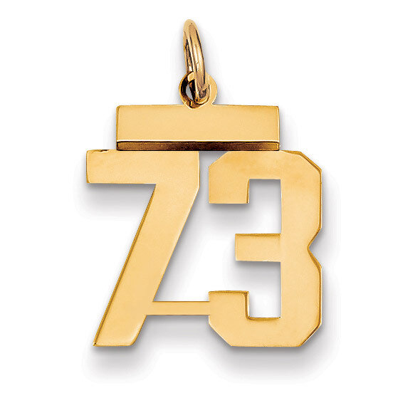 Number 73 Charm 14k Gold Small Polished LS73