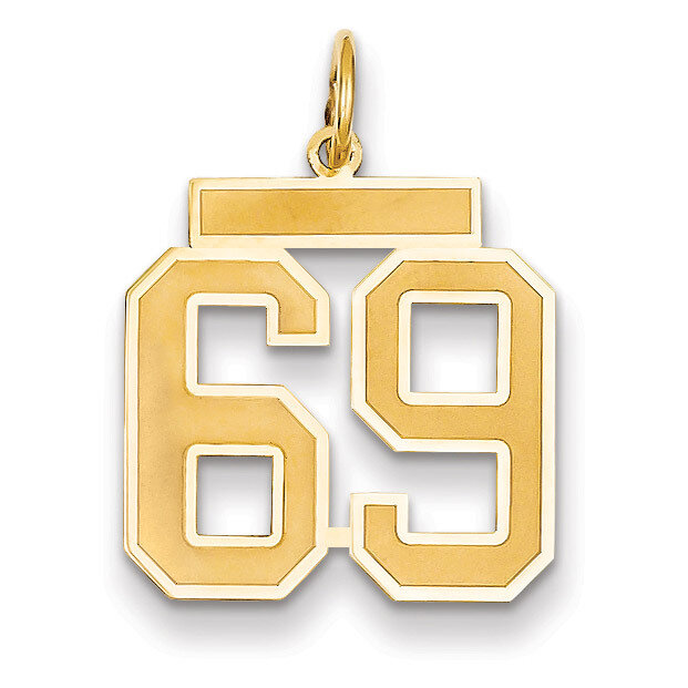 Number 69 Charm 14k Gold Medium Satin LSM69, MPN: LSM69, 883957075198