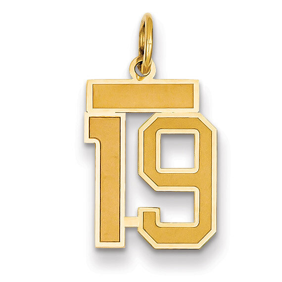 Number 19 Charm 14k Gold Small Satin LSS19