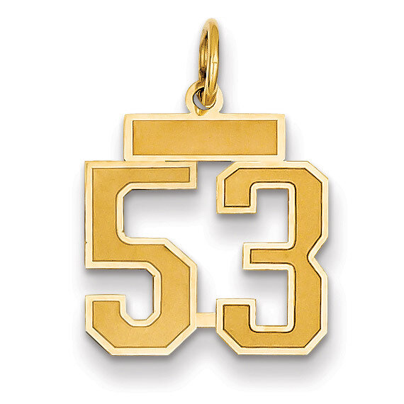 Number 53 Charm 14k Gold Small Satin LSS53