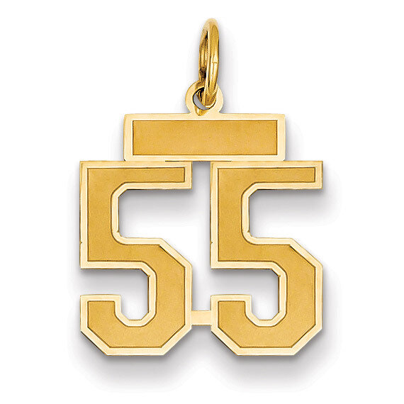 Number 55 Charm 14k Gold Small Satin LSS55